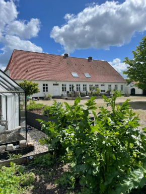 Landligt ophold på Midtgård, Vamdrup